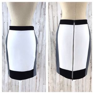 Narciso Rodriguez 🦄 for Design Nation skirt